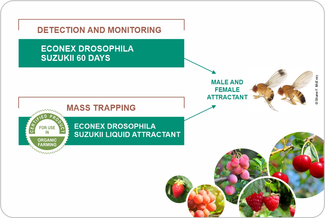 BIOCONTROL with ECONEX solutions